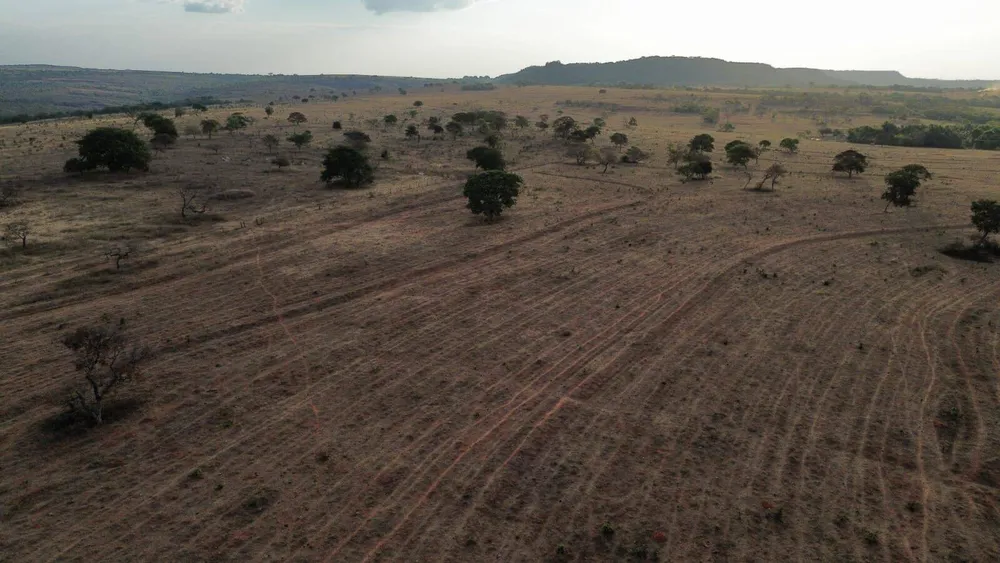Terreno, 3125 hectares - Foto 12