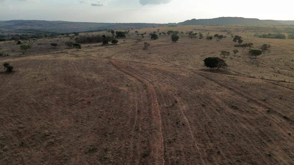 Terreno, 3125 hectares - Foto 9