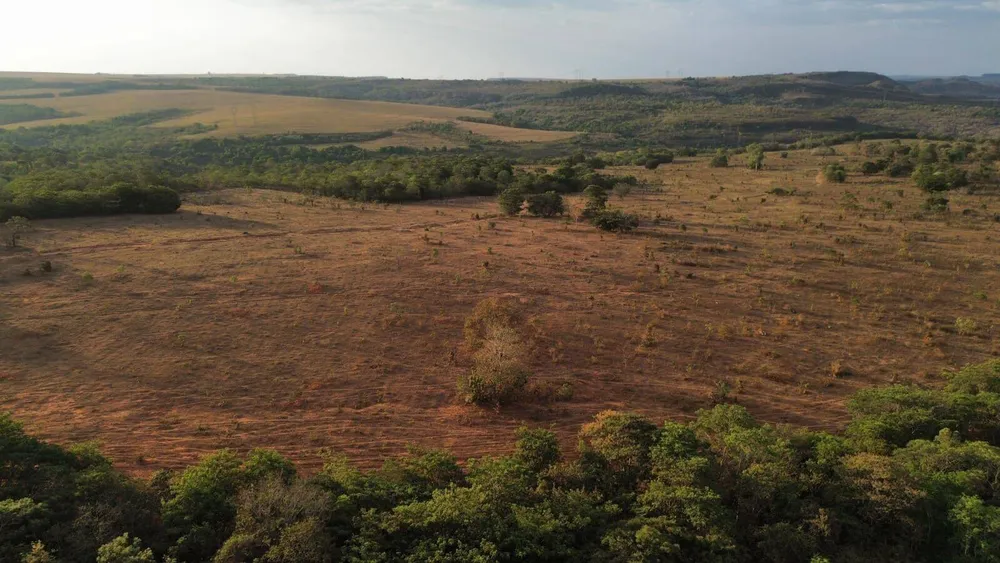 Terreno, 3125 hectares - Foto 10