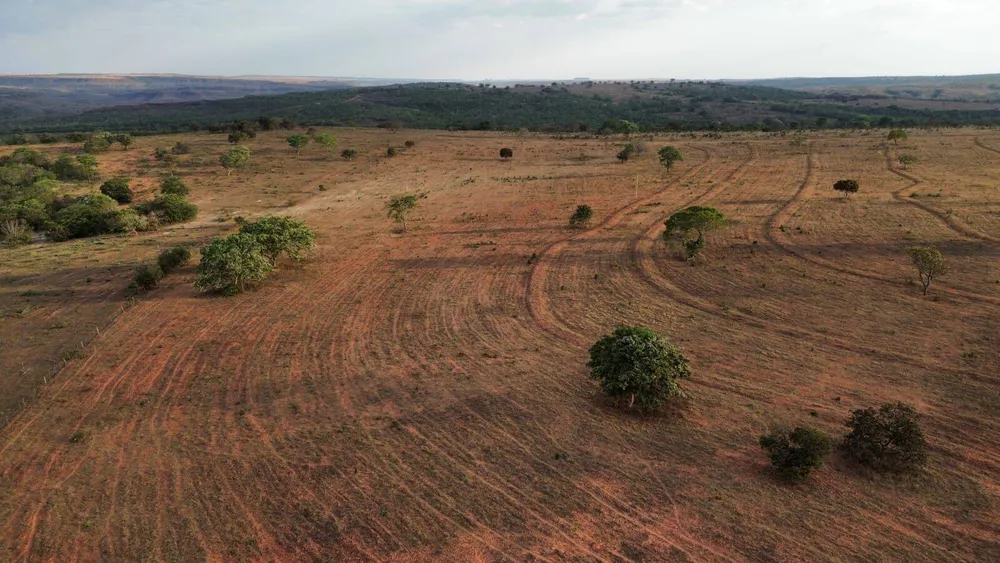Terreno, 3125 hectares - Foto 3