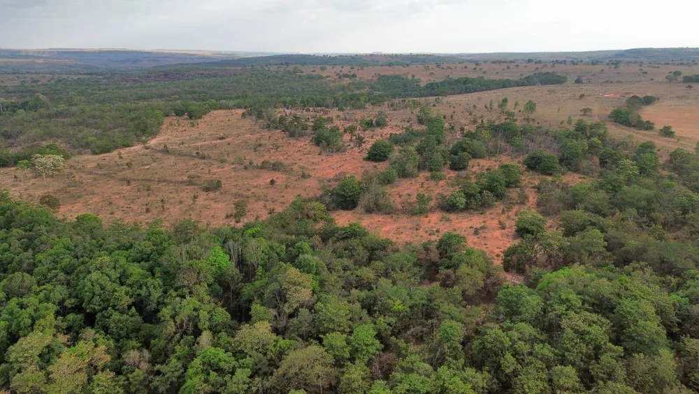 Terreno, 3125 hectares - Foto 1