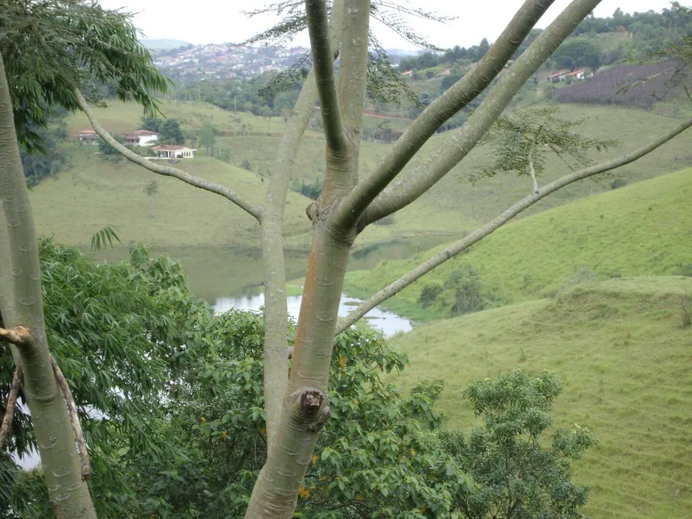 Sítio, 30 quartos, 34 hectares - Foto 1