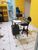Prédio Inteiro, 300 m² - Foto 11