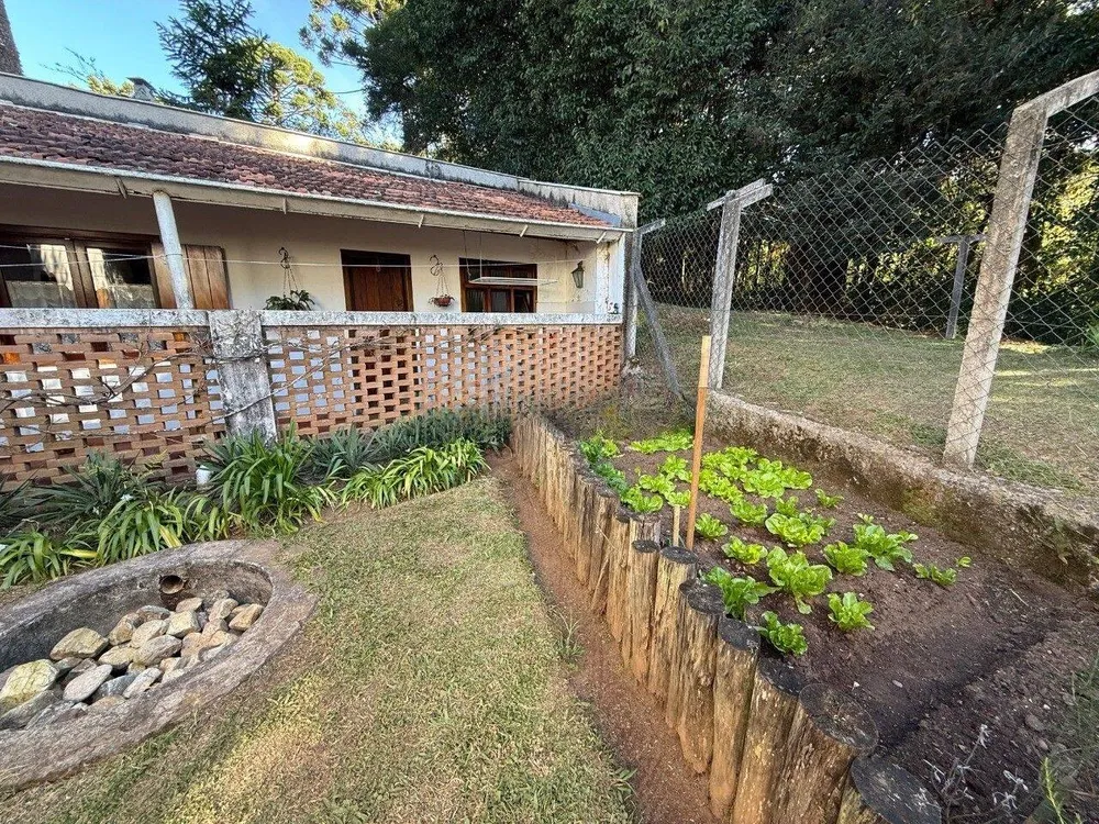 Casa, 4 quartos, 267 m² - Foto 4