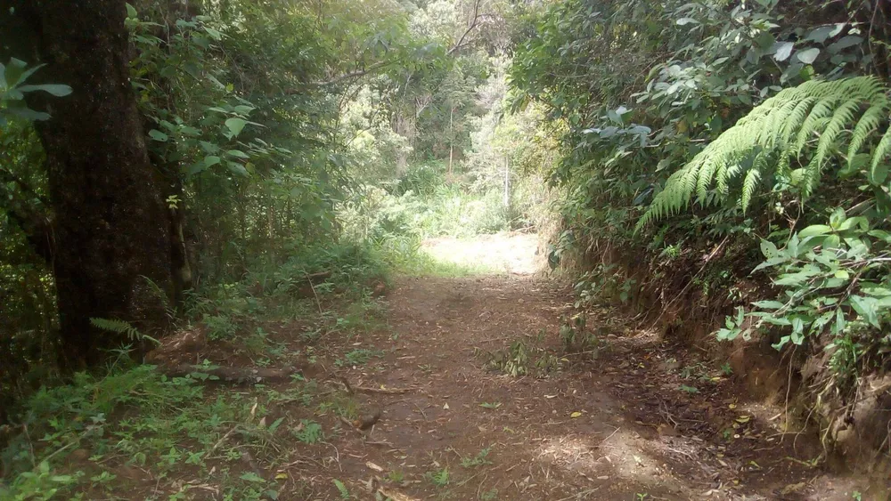 Sítio, 19 quartos, 9 hectares - Foto 11