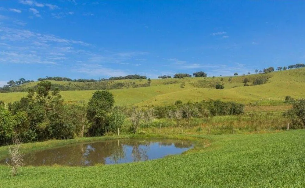 Sítio, 7 quartos, 3 hectares - Foto 4
