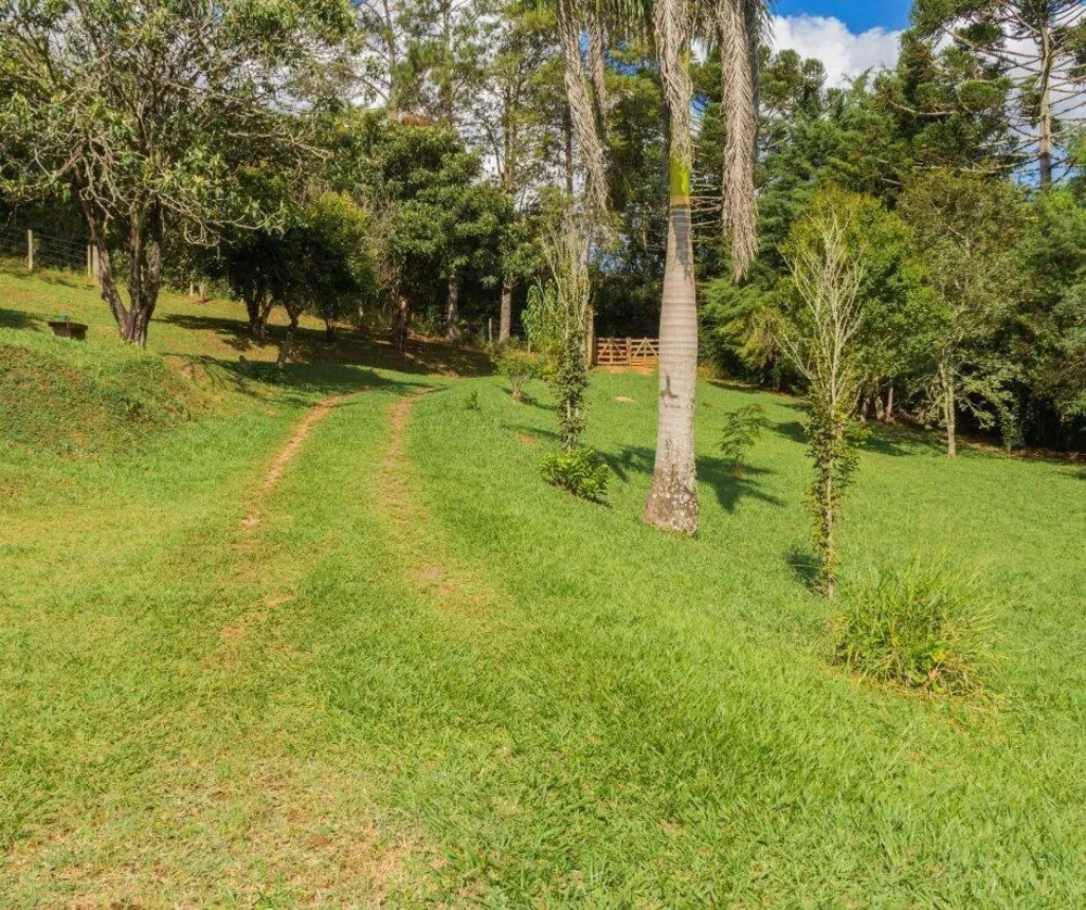 Sítio, 7 quartos, 3 hectares - Foto 1