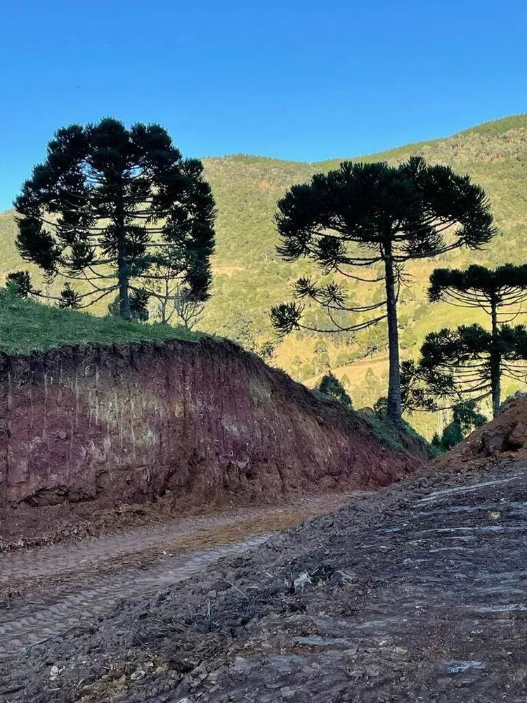 Terreno, 20 hectares - Foto 7