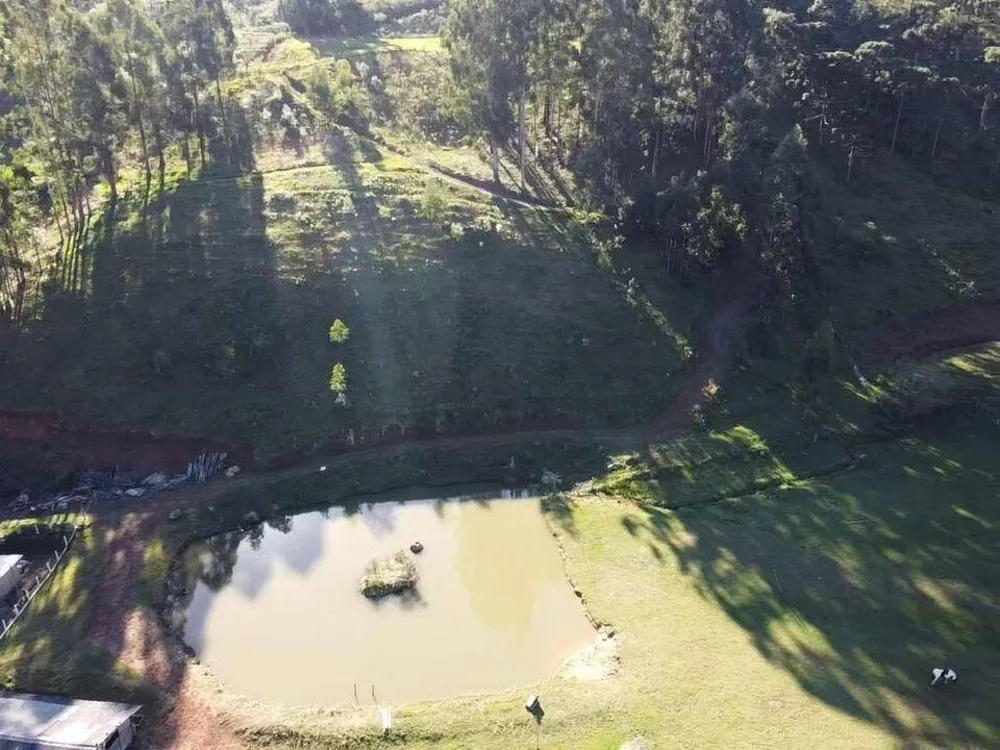 Terreno, 20 hectares - Foto 1