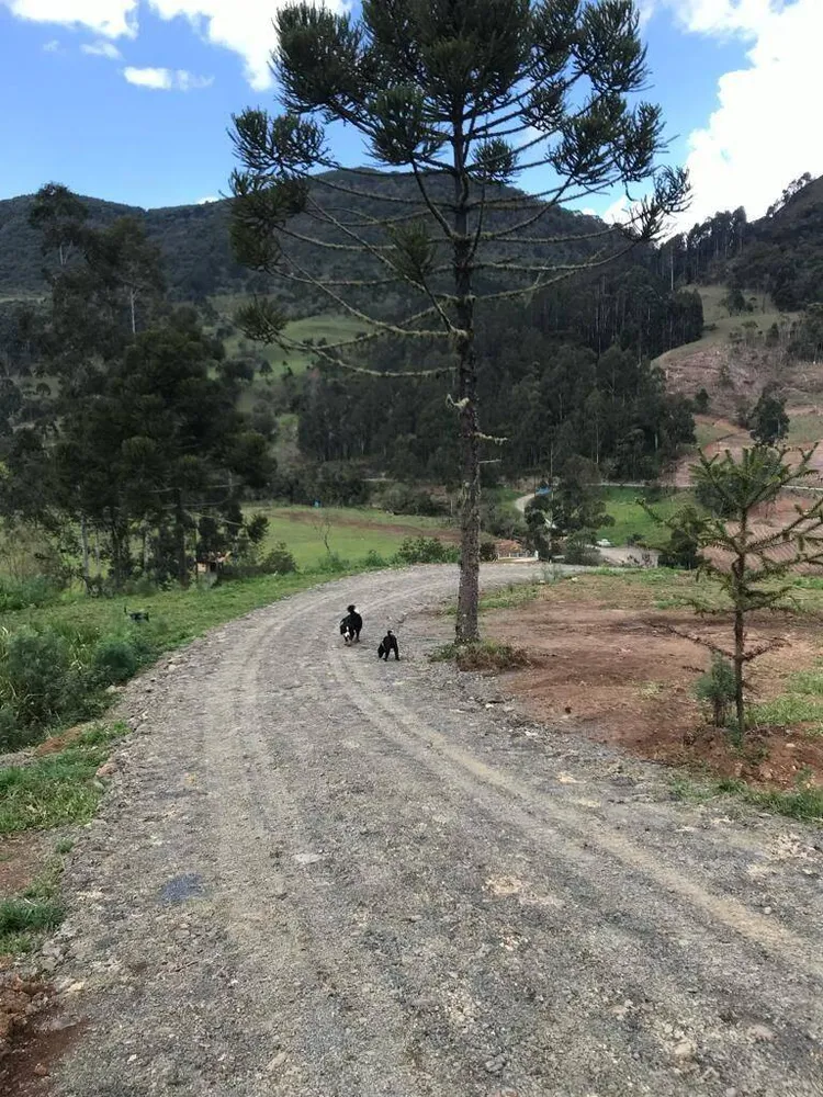 Terreno, 20 hectares - Foto 9