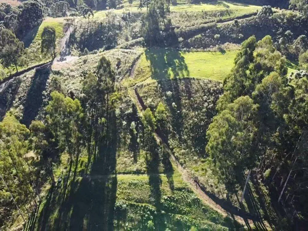 Terreno, 20 hectares - Foto 3