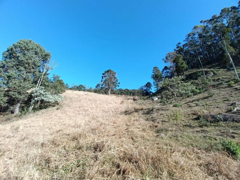 Prédio Inteiro - Foto 4
