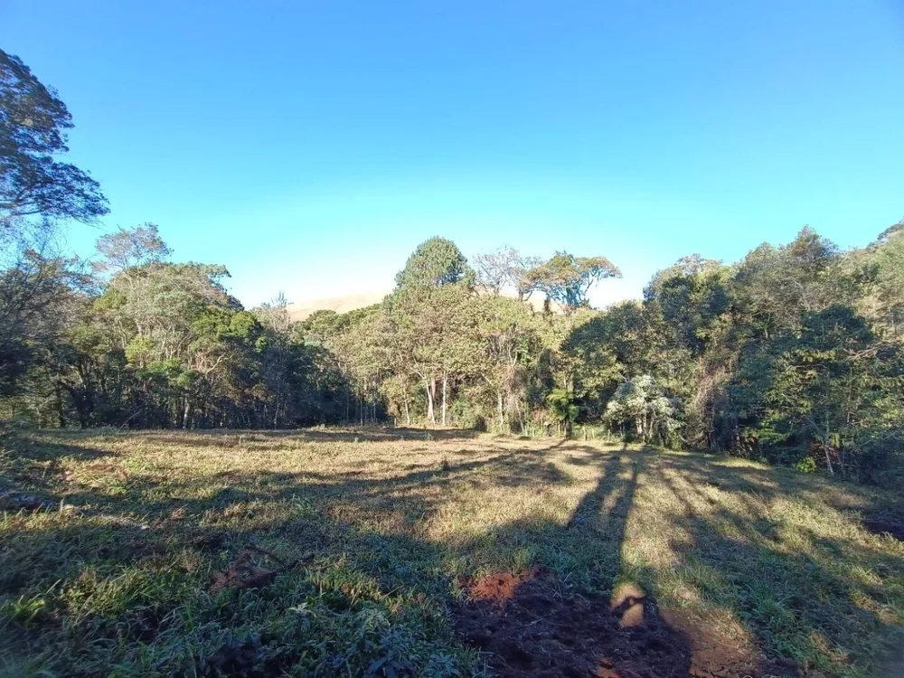 Prédio Inteiro - Foto 1