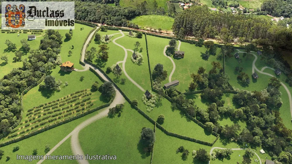 Terreno, 2 hectares - Foto 10