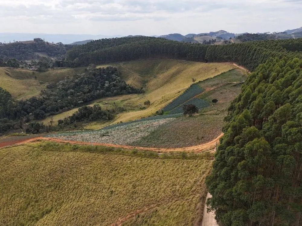 Terreno, 2 hectares - Foto 6
