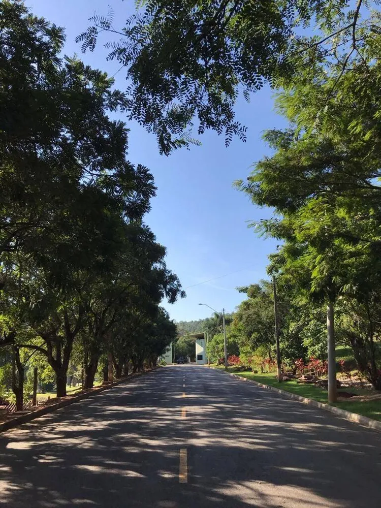 Terreno, 300 m² - Foto 3