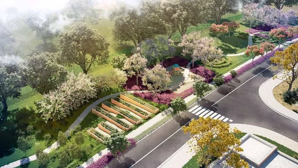Terreno, 250 m² - Foto 2