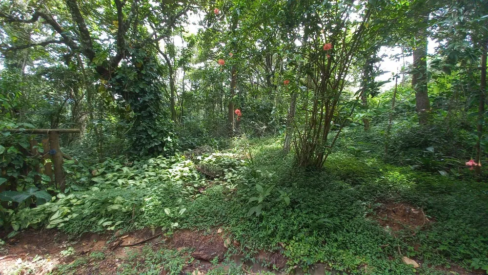 Terreno, 3701 m² - Foto 1