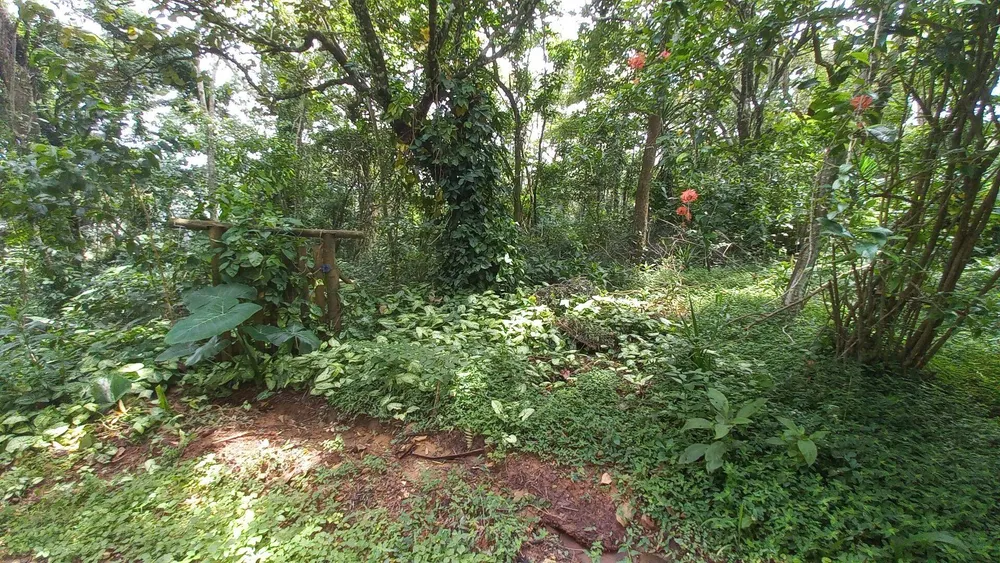 Terreno, 3701 m² - Foto 7