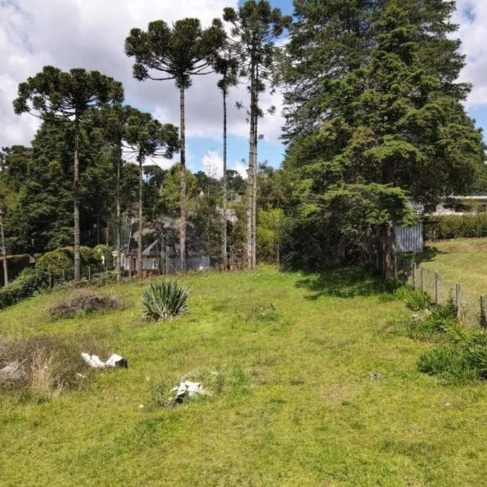 Terreno, 1330 m² - Foto 9