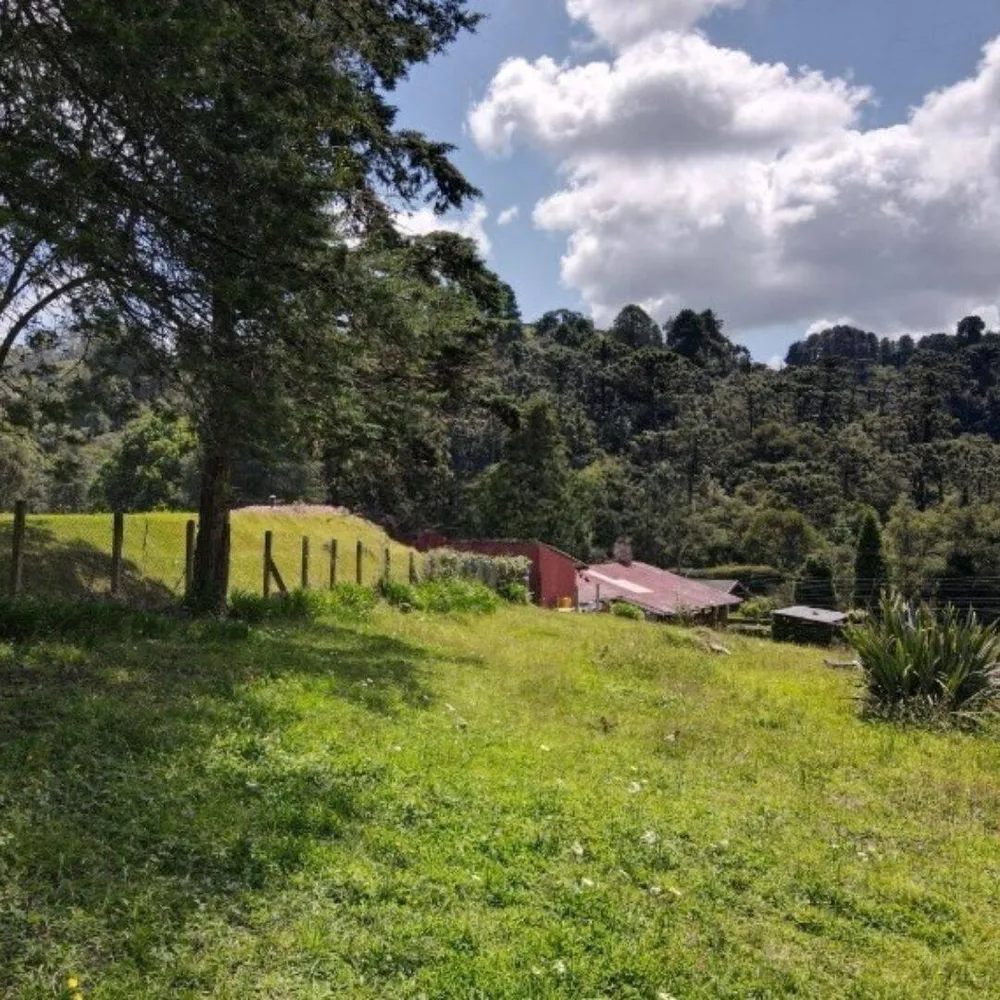 Terreno, 1330 m² - Foto 7