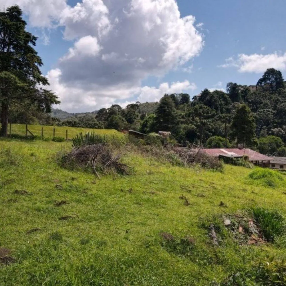 Terreno, 1330 m² - Foto 8
