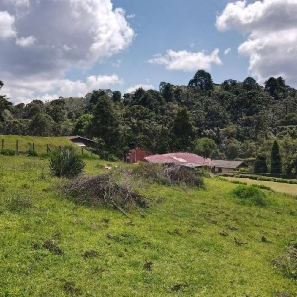 Terreno, 1330 m² - Foto 6