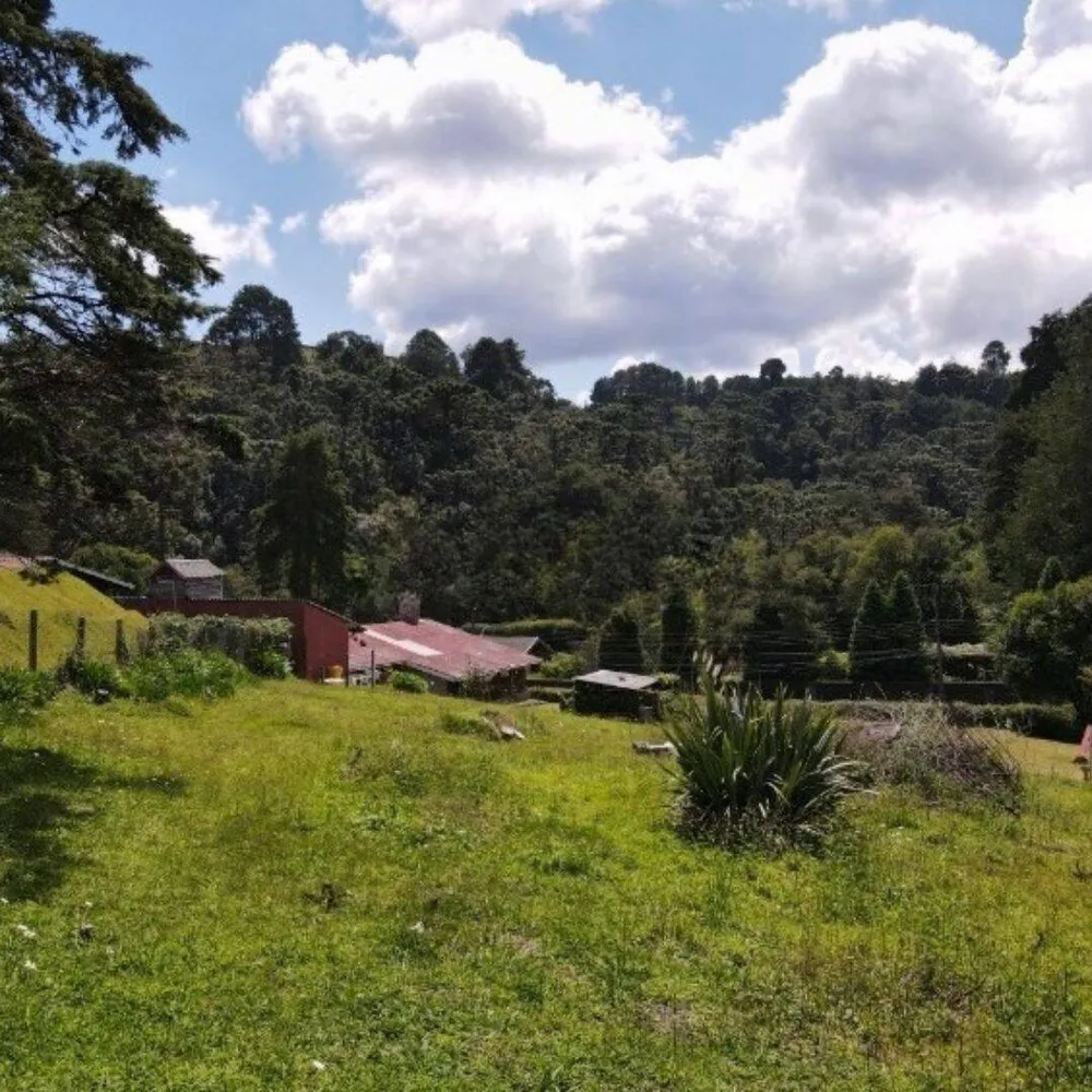 Terreno, 1330 m² - Foto 2