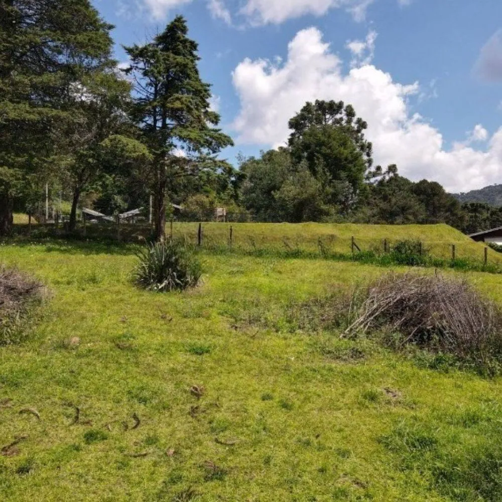 Terreno, 1330 m² - Foto 3