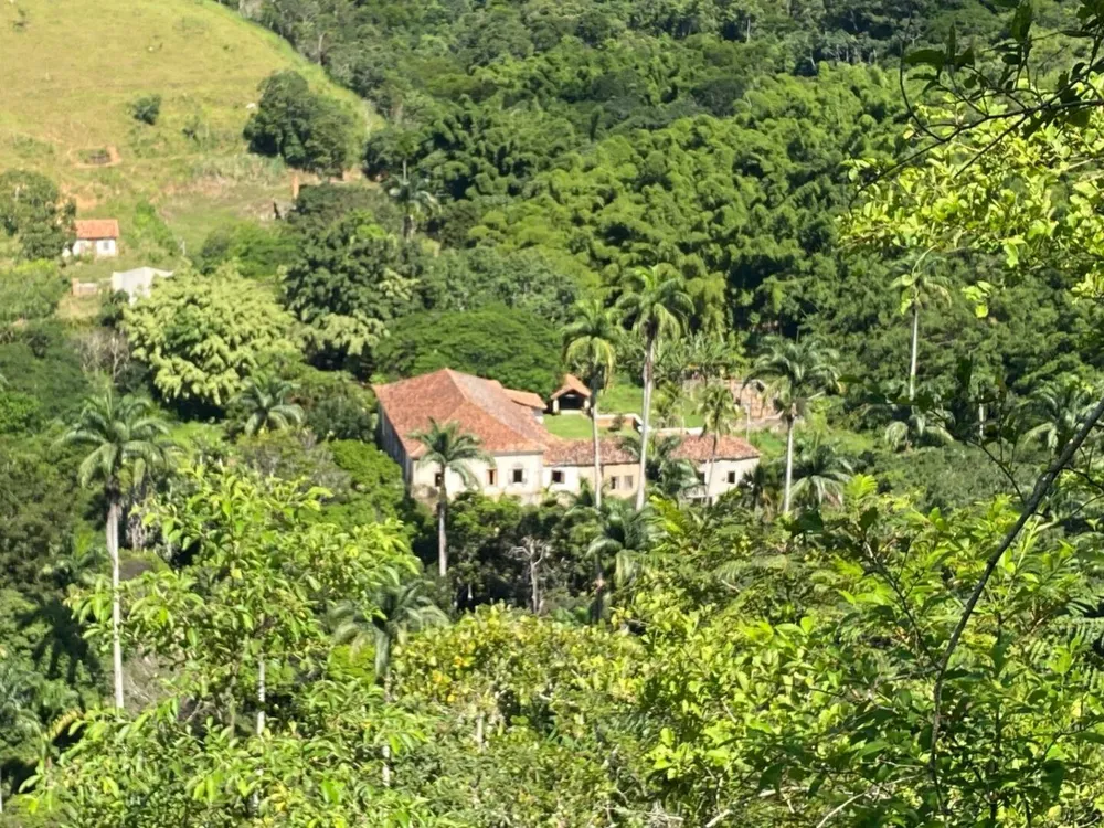 Fazenda, 160 hectares - Foto 5