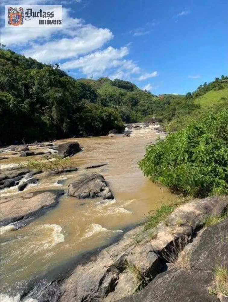Fazenda, 160 hectares - Foto 35