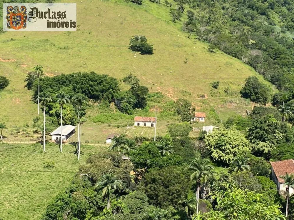 Fazenda, 160 hectares - Foto 79