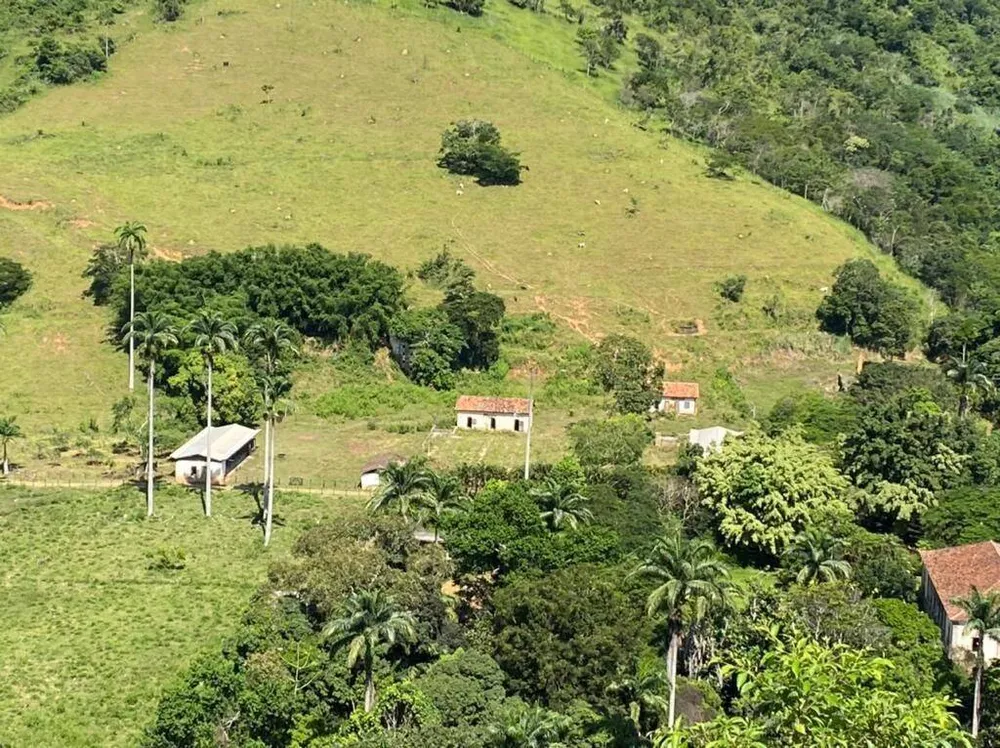 Fazenda, 160 hectares - Foto 78