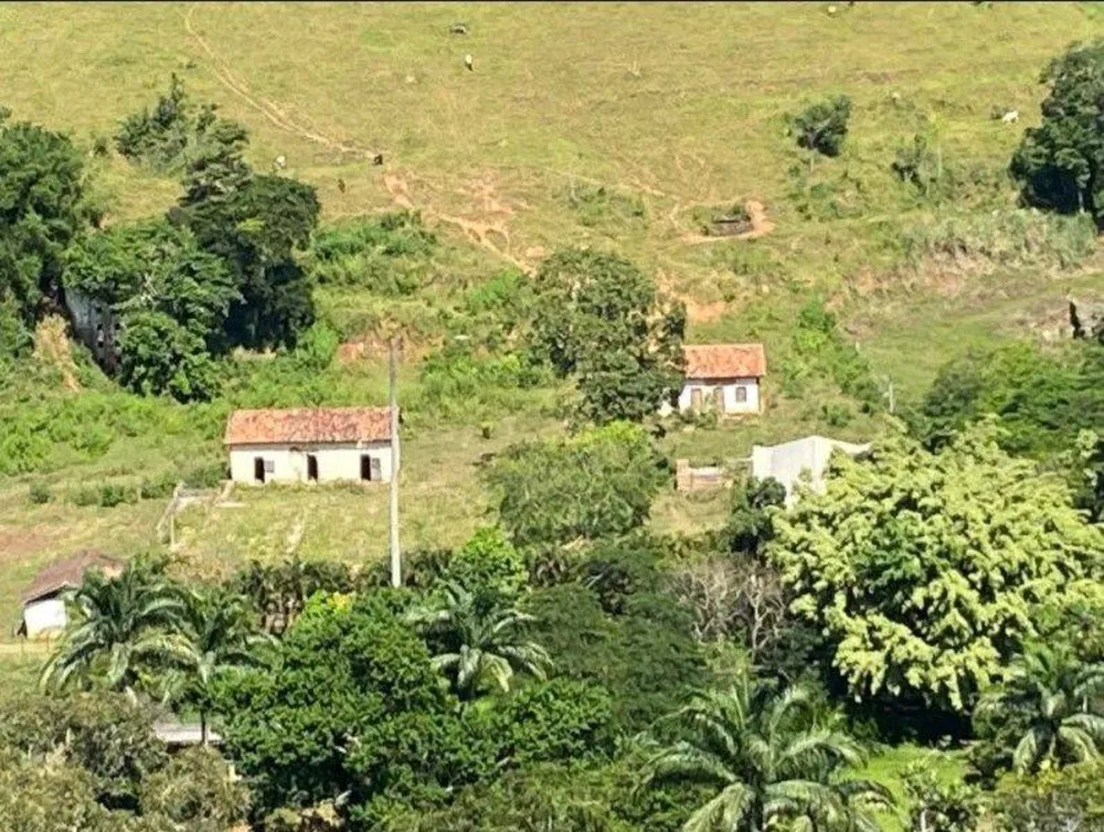 Fazenda, 160 hectares - Foto 9