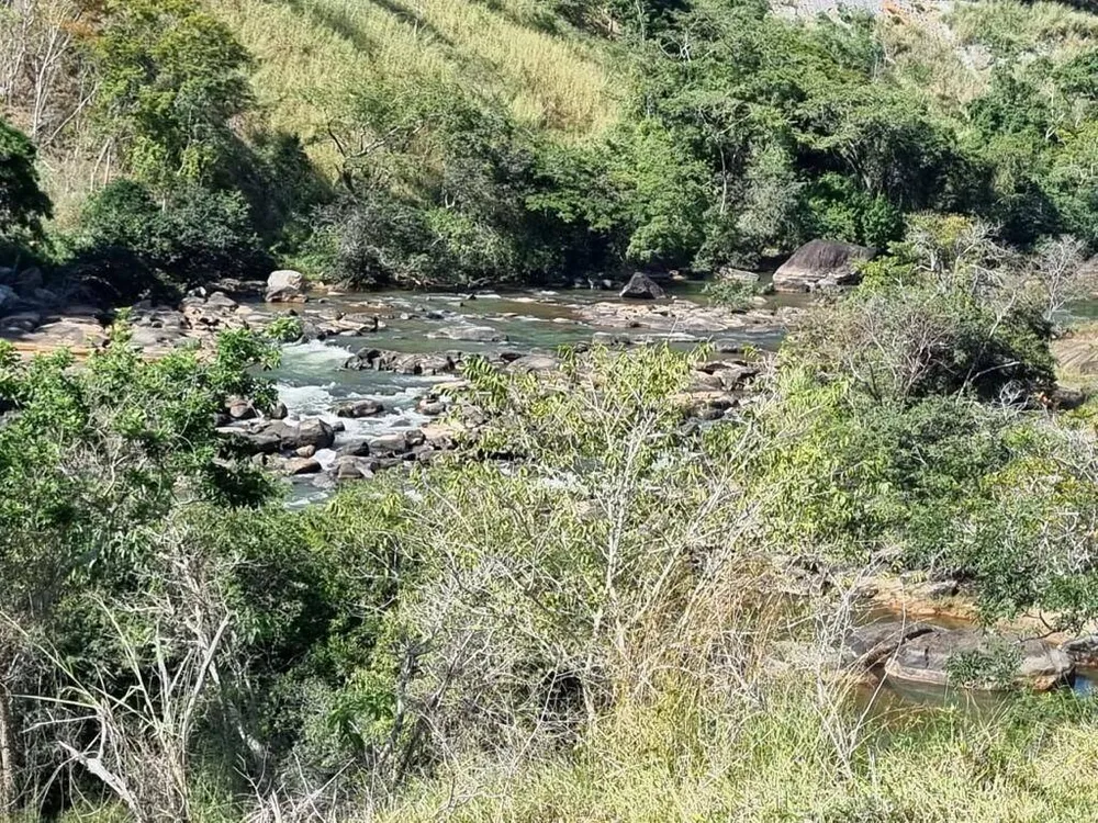 Fazenda, 160 hectares - Foto 44
