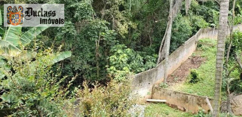 Chácara, 2 quartos, 4050 m² - Foto 10