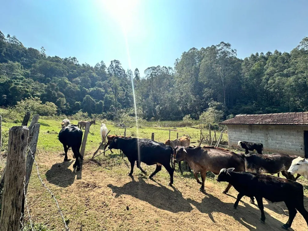 Sítio, 4 quartos, 17 hectares - Foto 12