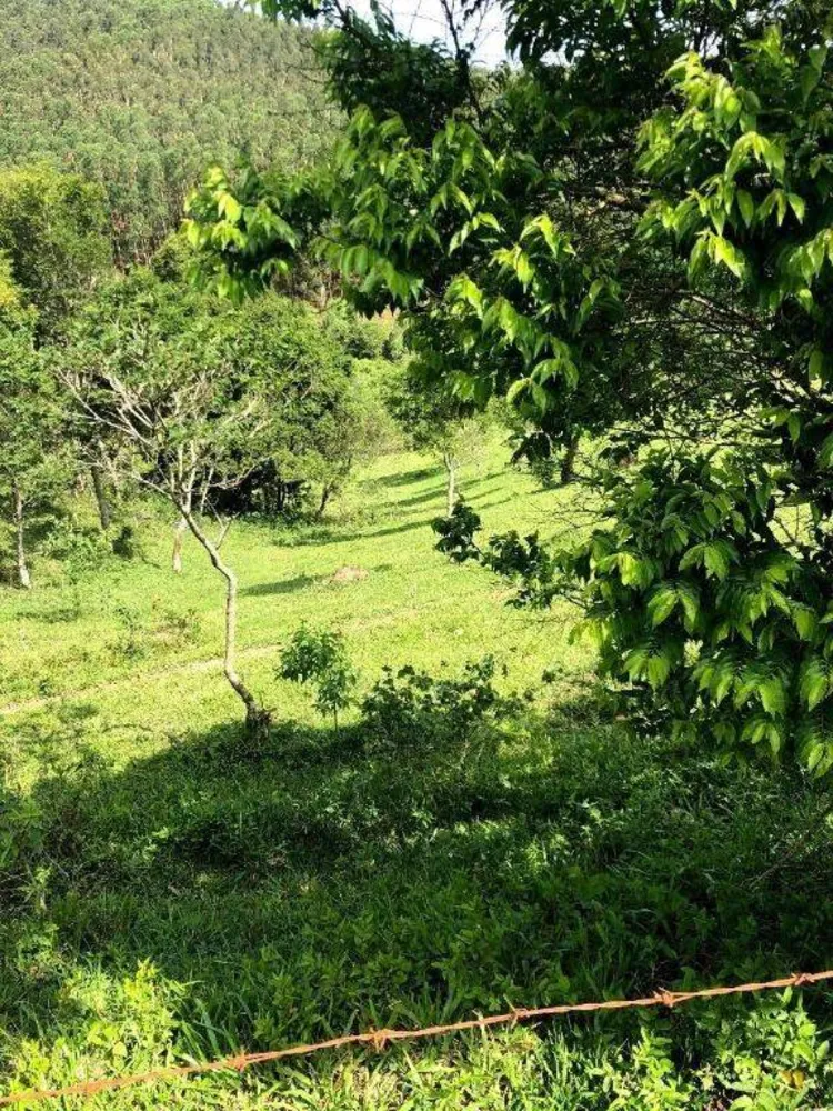 Terreno, 218 hectares - Foto 12