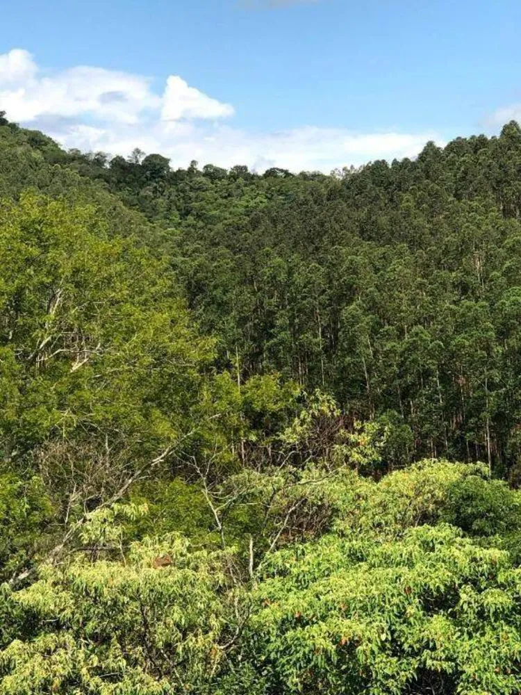 Terreno, 218 hectares - Foto 11