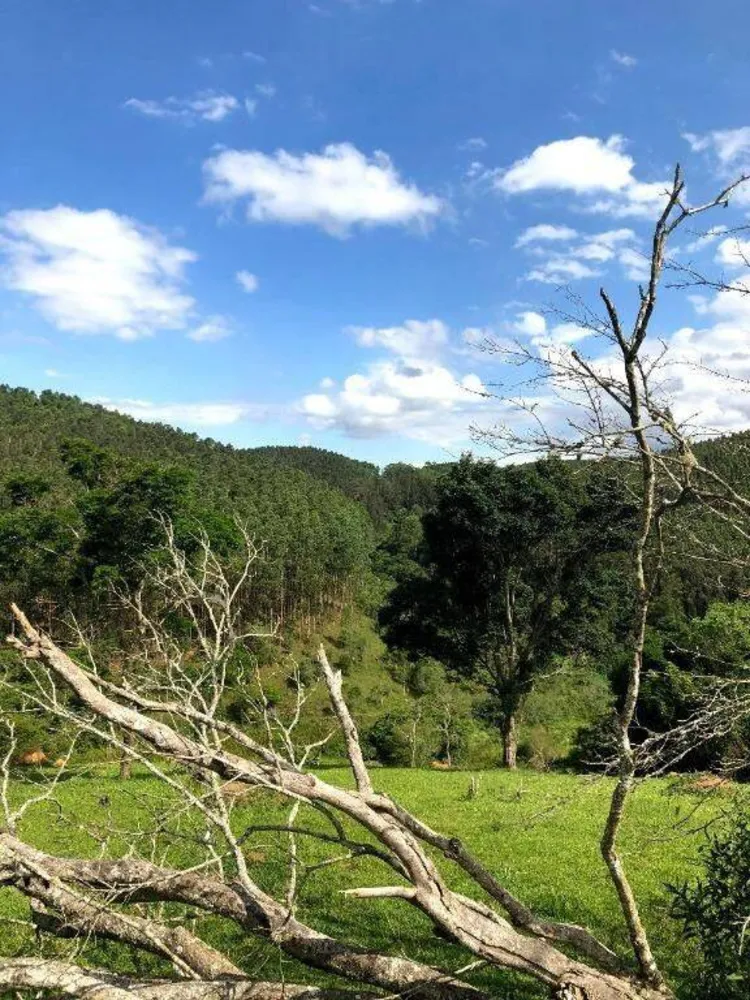 Terreno, 218 hectares - Foto 7