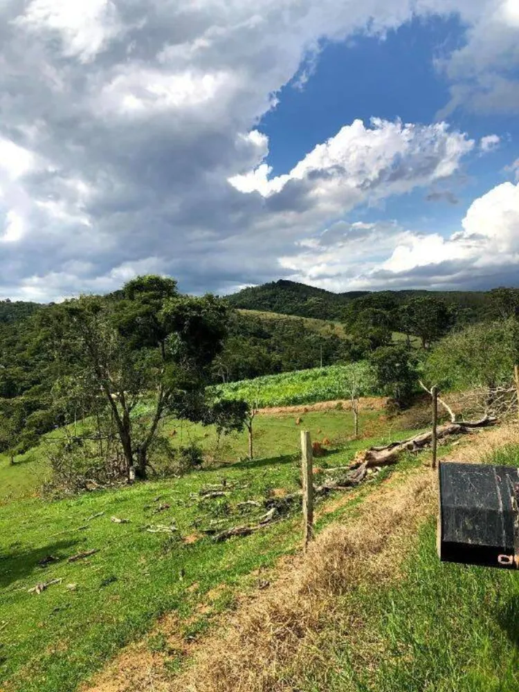Terreno, 218 hectares - Foto 10