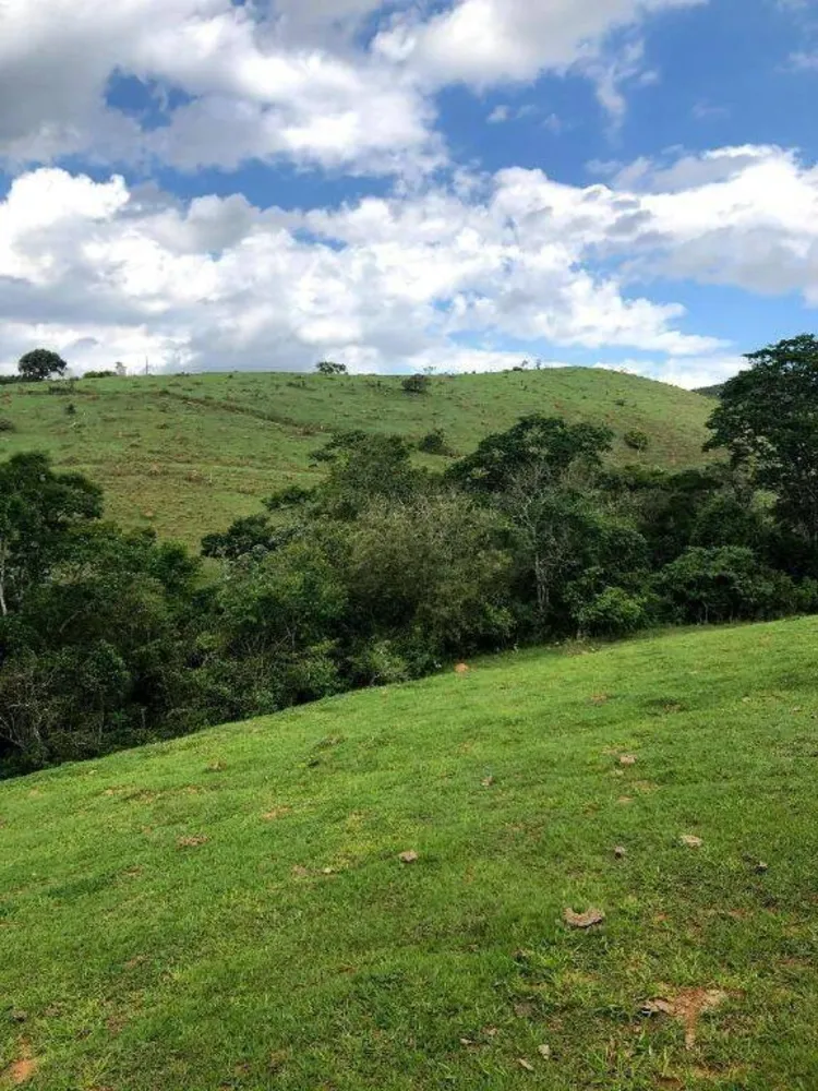 Terreno, 218 hectares - Foto 1