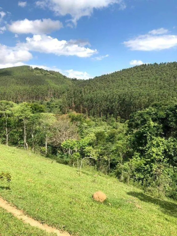 Terreno, 218 hectares - Foto 3