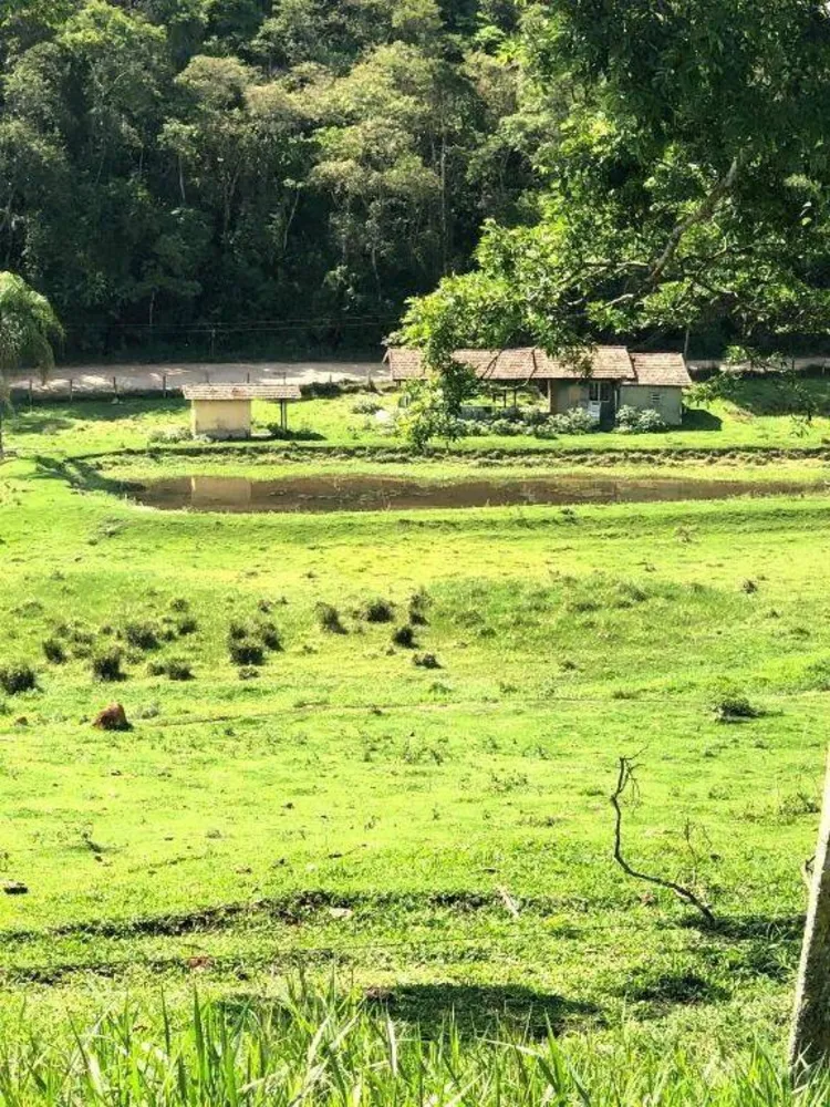 Terreno, 218 hectares - Foto 9