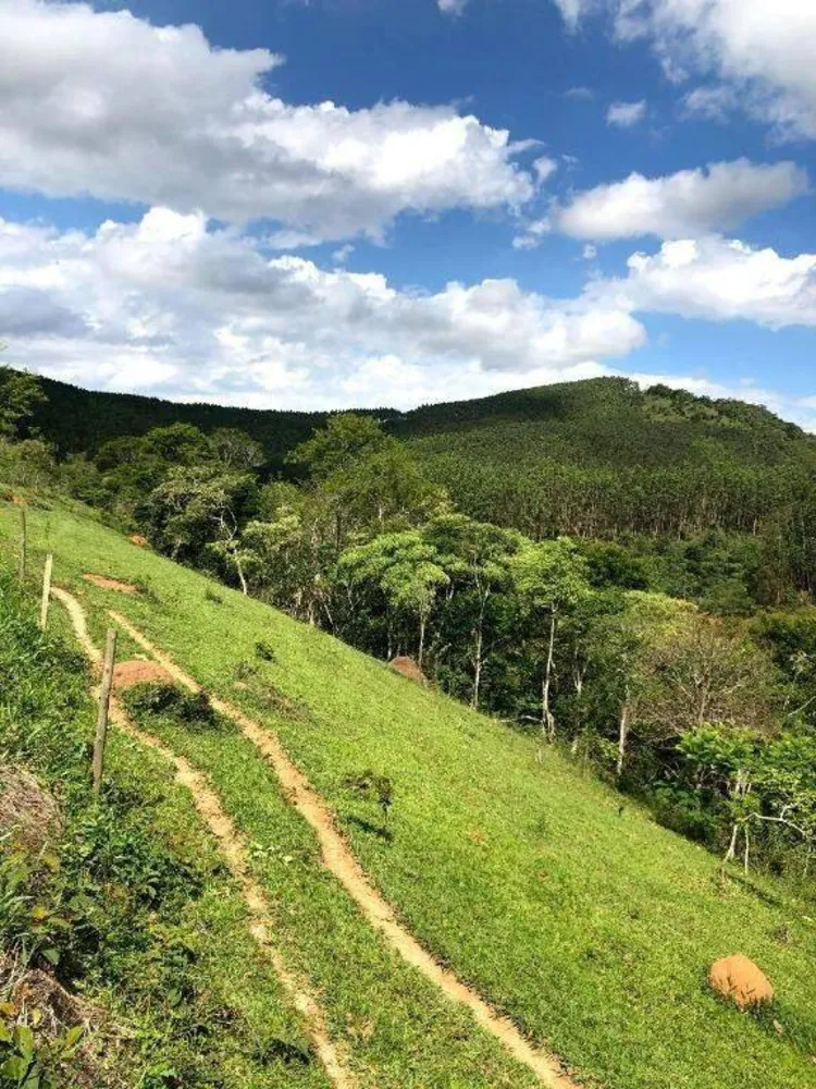 Terreno, 218 hectares - Foto 6