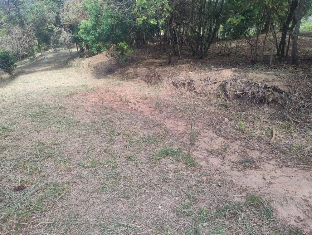 Terreno, 2 hectares - Foto 4