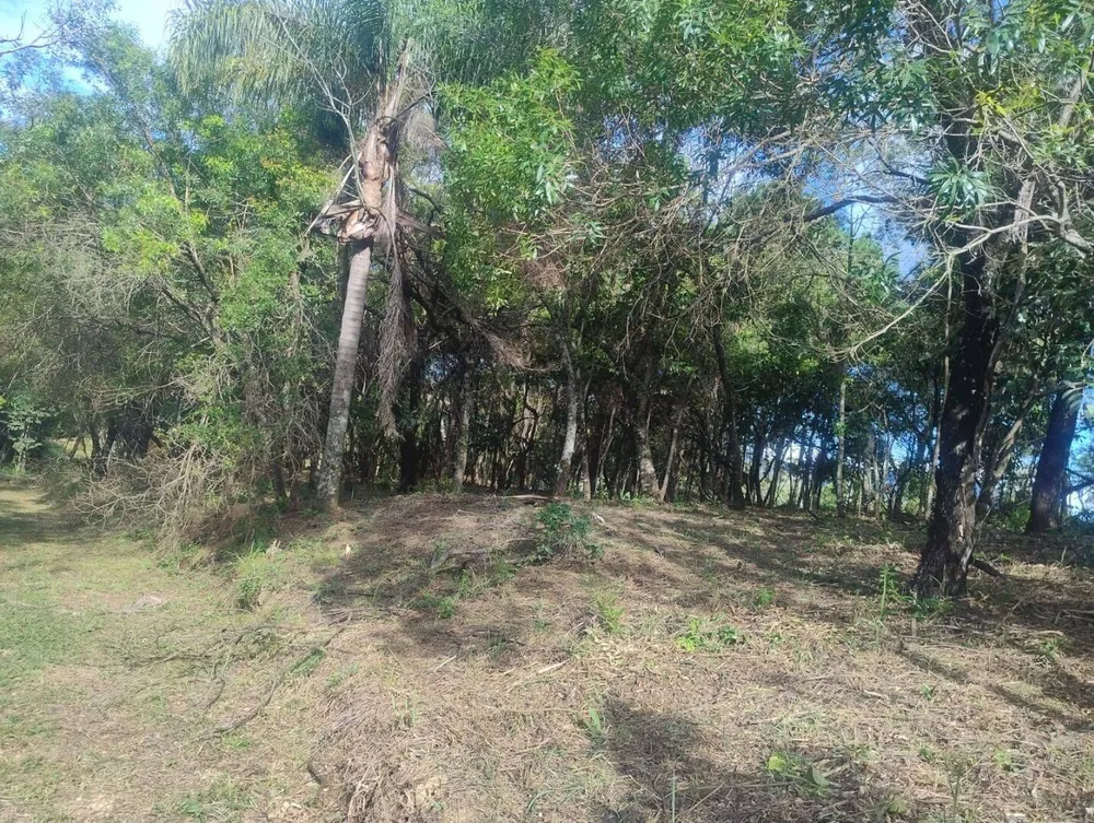 Terreno, 2 hectares - Foto 9