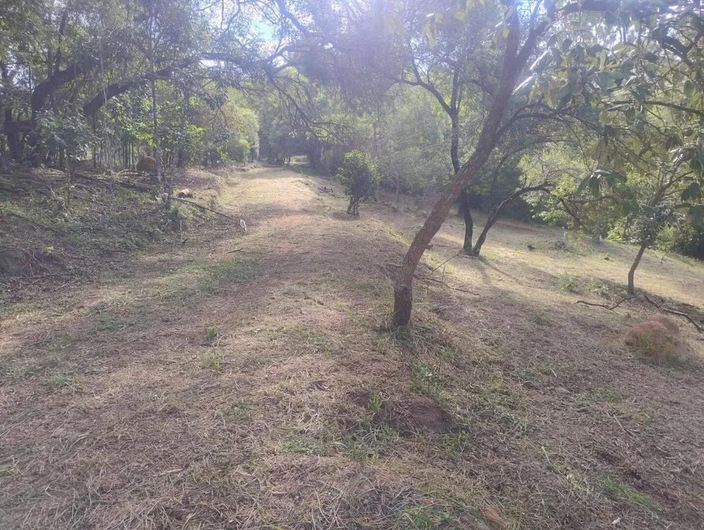 Terreno, 2 hectares - Foto 6