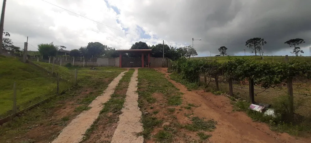 Chácara, 3 quartos, 8000 m² - Foto 2