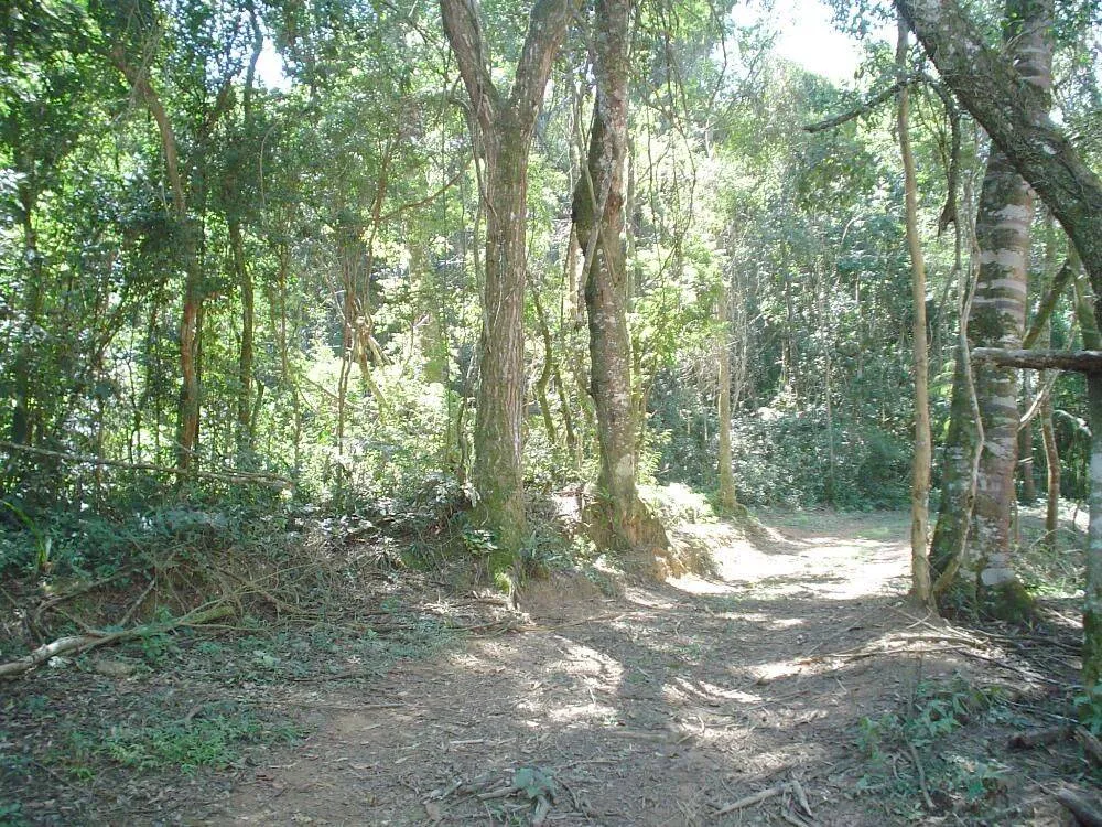 Sítio, 14 quartos, 3 hectares - Foto 6